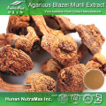 High Quality Agaricus Blazei Murill Extract (Polysaccharide 10%~50%)